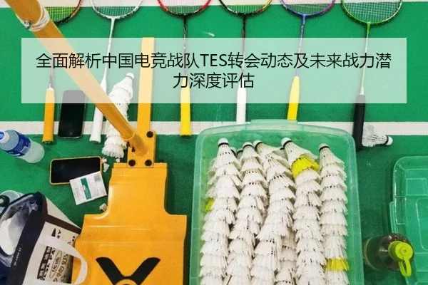 全面解析中国电竞战队TES转会动态及未来战力潜力深度评估